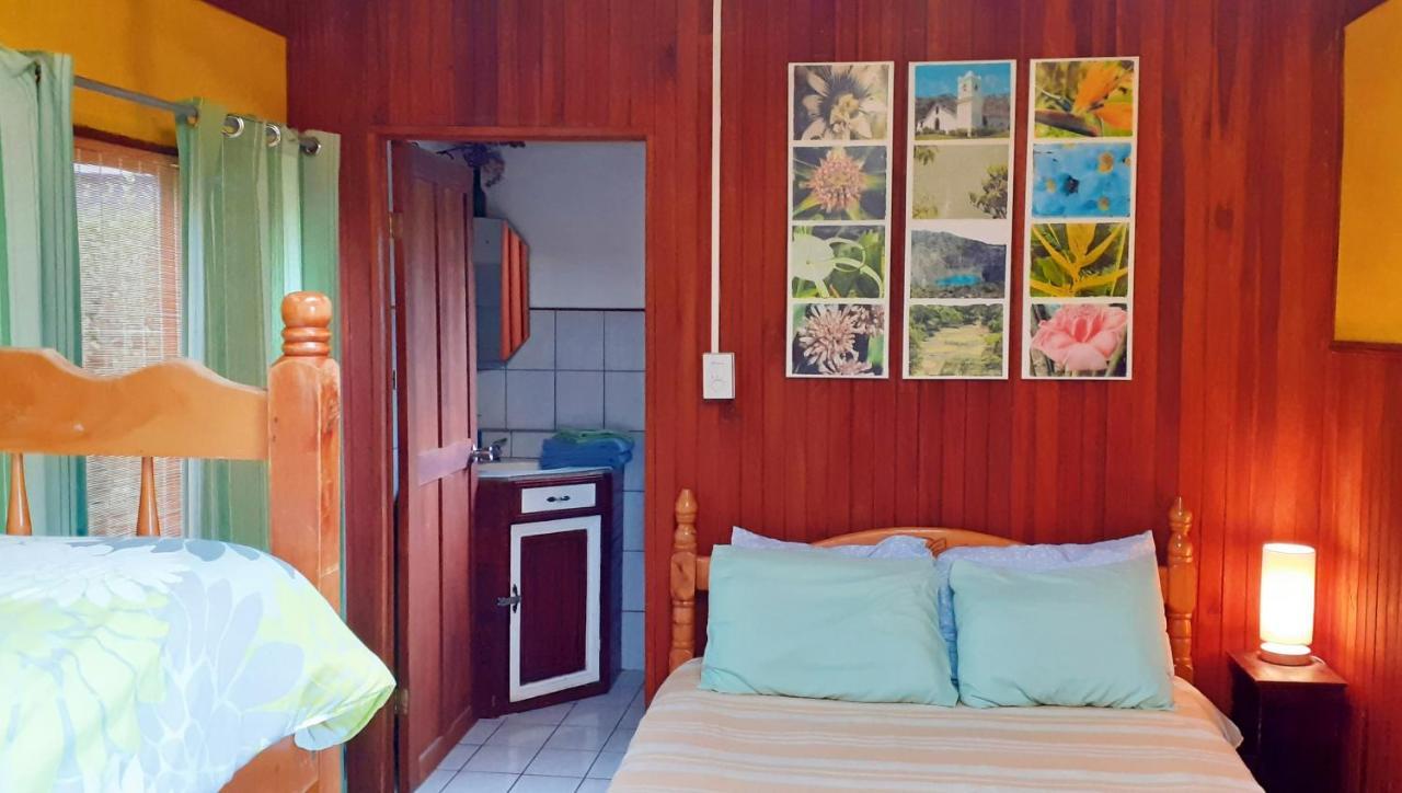 Montana Linda Guest House Orosí Esterno foto