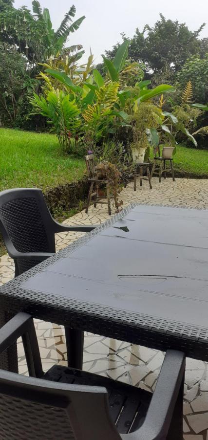 Montana Linda Guest House Orosí Esterno foto