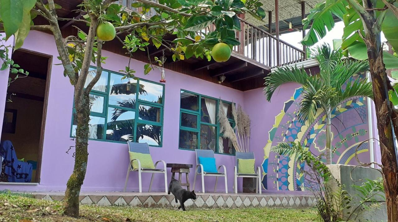 Montana Linda Guest House Orosí Esterno foto